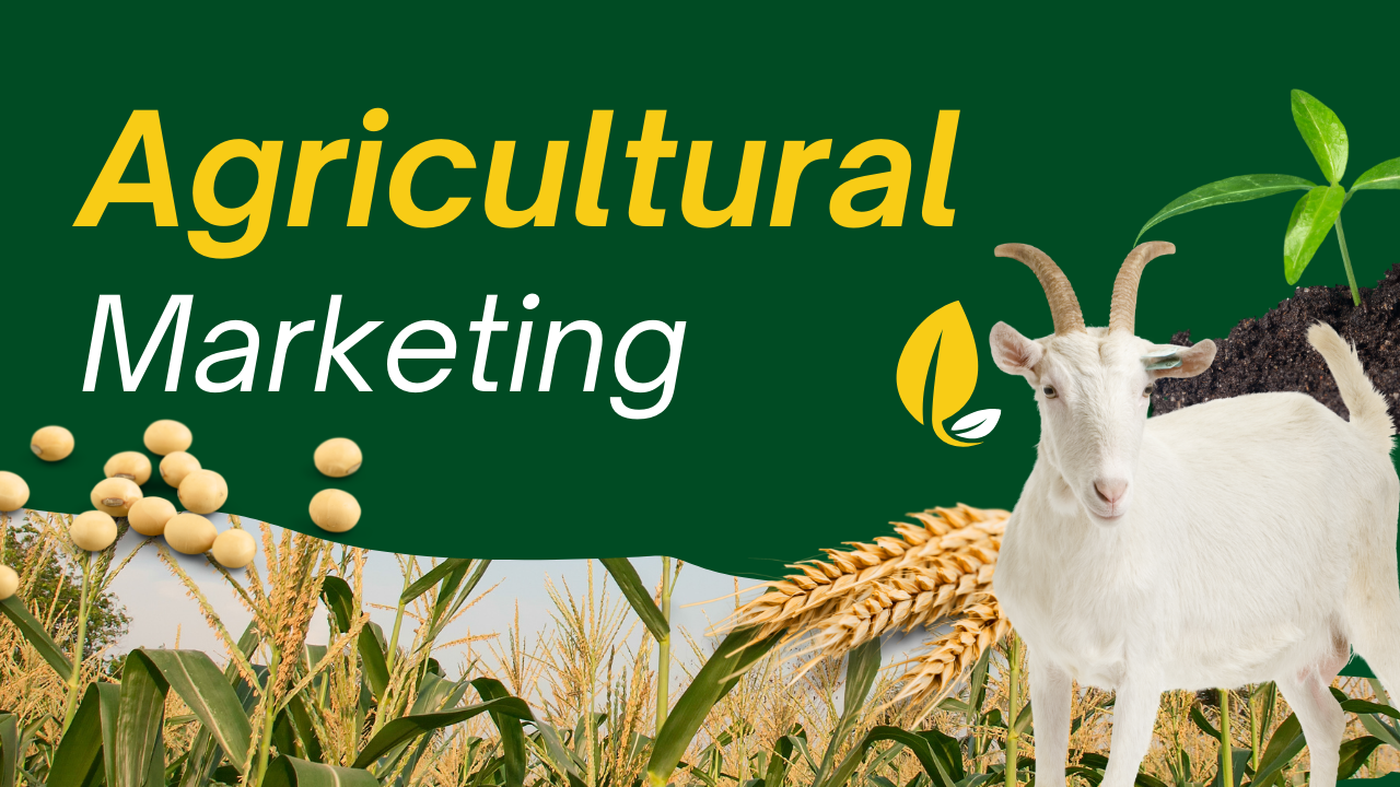 Agricultural Marketing: Cultivating Success in the Modern Market